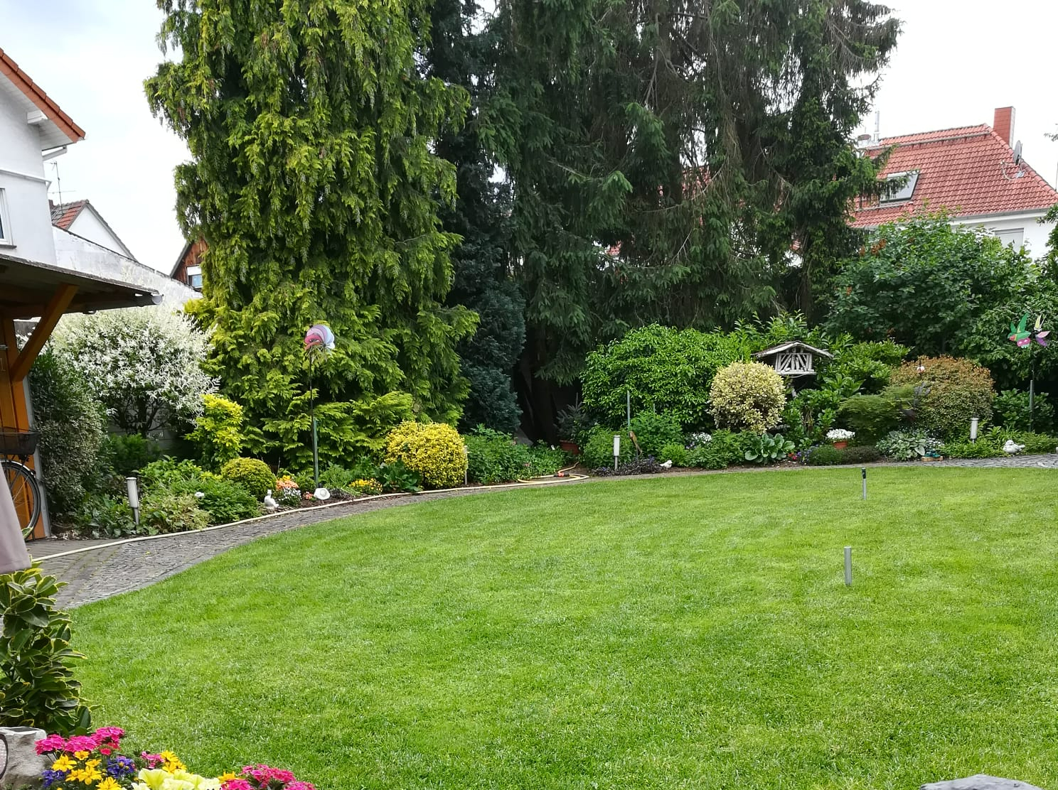 IMG-20220629-WA0020[1]